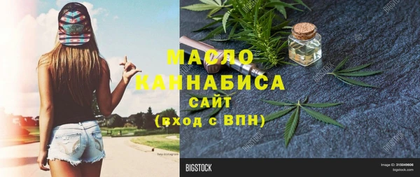 индика Волоколамск