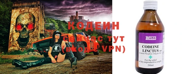 индика Волоколамск