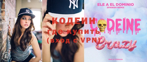 индика Волоколамск