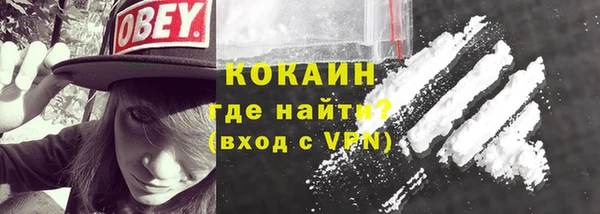 индика Волоколамск