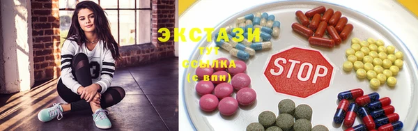 индика Волоколамск